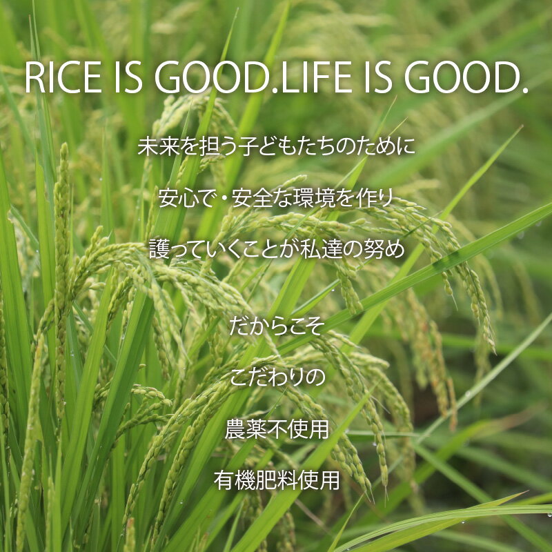 【ふるさと納税】〈令和7年産〉無農薬米5kg・10kg・定期便あり　玄米/白米選択可【こしひかり】/ 送料無料 福井県 越前市 米 コシヒカリ 無農薬 2025年度産（18209） - 画像3