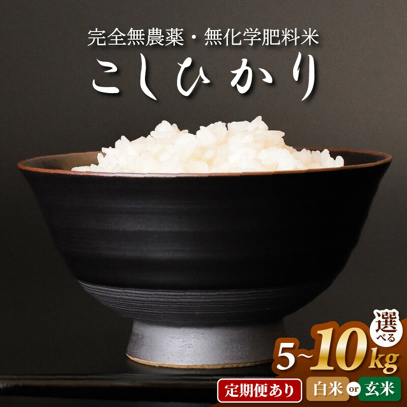 〈令和7年産〉無農薬米5kg・10kg・定期便あり　玄米/白米選択可【こしひかり】/ 送料無料 福井県 越前市 米 コシヒカリ 無農薬 2025年度産（18209）