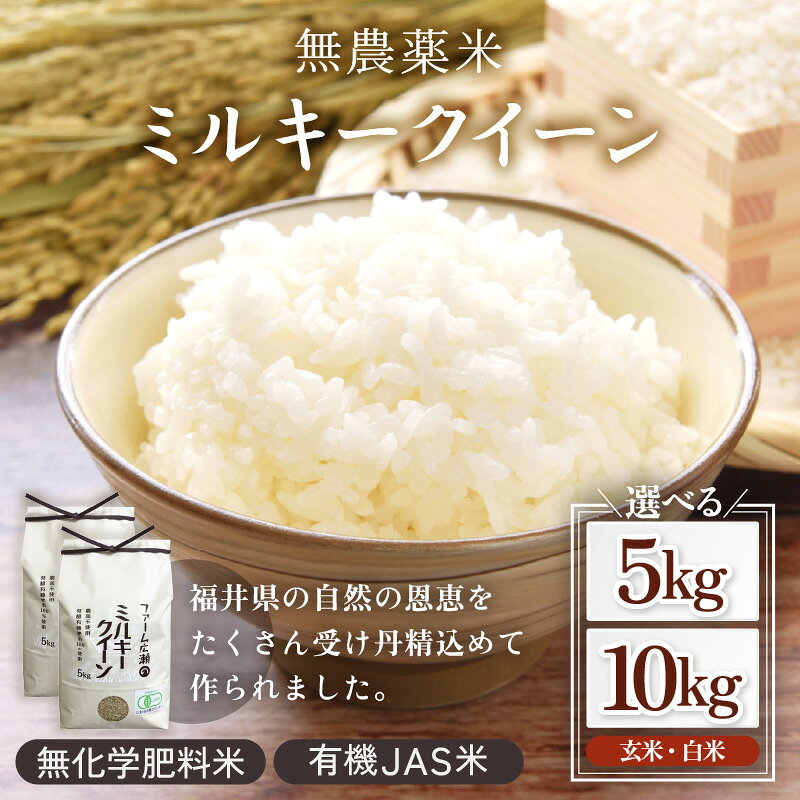 【令和7年産】有機JAS米 ミルキークイーン 5kg 10kg　玄米/白米選択可/ 送料無料 福井県 越前市 米 無農薬 2025年度産 新生活(18209)