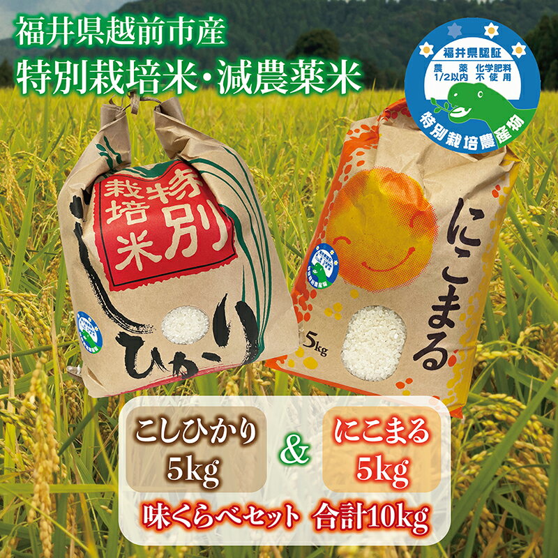 新米 コシヒカリ&にこまる「味くらべ」 令和7年度産 福井県越前市産 福井県特別栽培米 各5kg/ 送料無料 福井県 越前市 米 こしひかり 減農薬 2025年度産 新生活(18209)