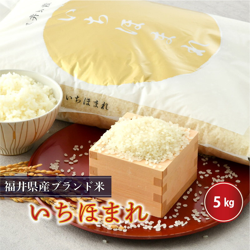 【ふるさと納税】【令和7年産】 米 5kg さんさん池見二代目がお届けする 福井県産 いちほまれ 米 お米 5キロ - 画像2