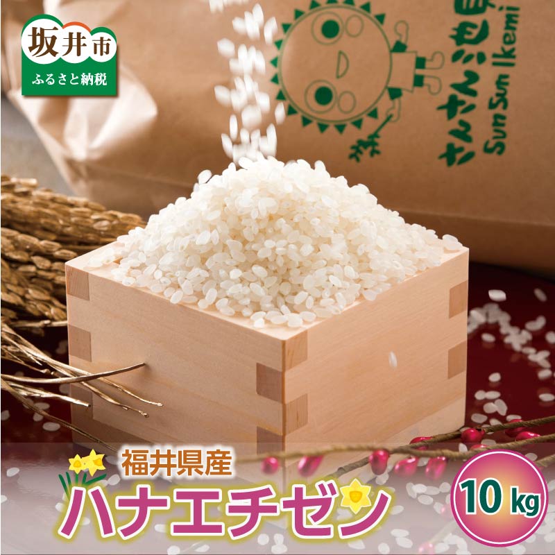 【令和7年産】さんさん池見二代目の 福井県産 ハナエチゼン 10kg　米 お米 10キロ