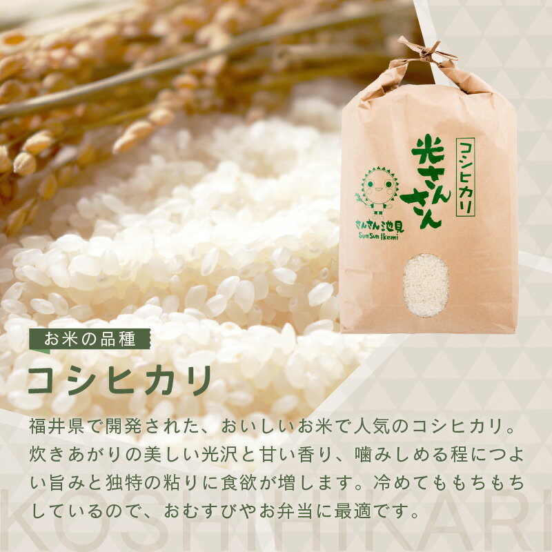 【ふるさと納税】【令和7年産・新米】楽天1位獲得！米 福井県産 コシヒカリ お試し用 5kg 10kg 【選べる精米方法・配送回数】【 米 お米 定期便 6ヶ月 12ヶ月 こしひかり 無洗米 白米 5キロ 10キロ ブランド米 ふるさと納税米 産地直送】 サムネイル3