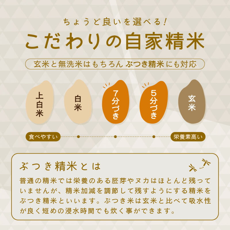 【ふるさと納税】【令和7年産・新米】福井県産 ハナエチゼン 5kg / 10kg 【選べる内容量・精米方法・配送回数】 〜坂井市三国町産・こだわりの精米対応〜 【 米 お米 定期便 6ヶ月 12ヶ月 無洗米 玄米 白米 5キロ 10キロ ふるさと納税米 産地直送】 サムネイル3