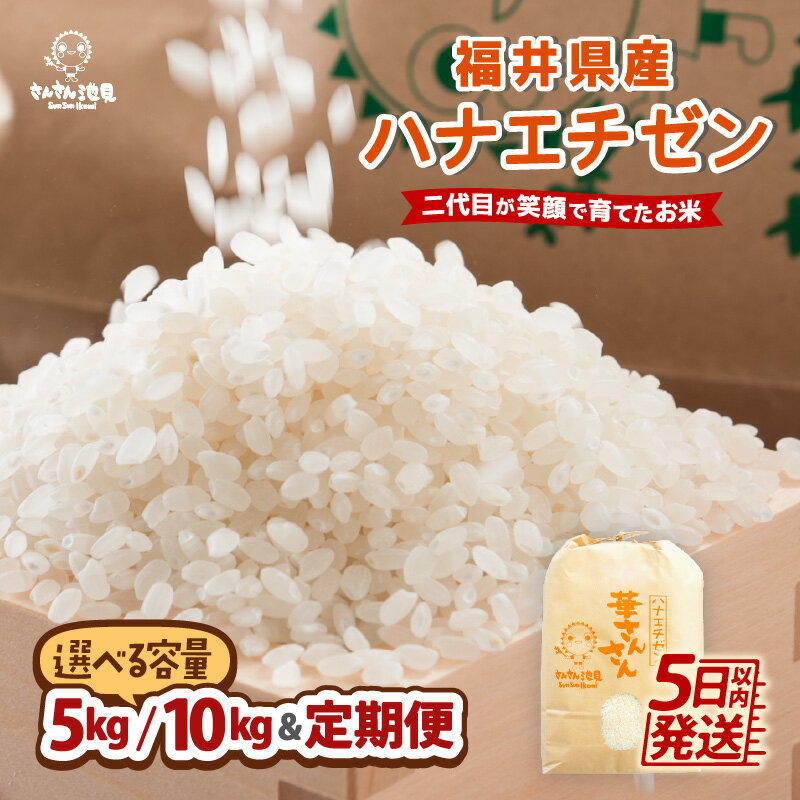 【令和7年産】福井県産 ハナエチゼン 5kg / 10kg 【選べる内容量・精米方法・配送回数】 〜坂井市三国町産・こだわりの精米対応〜 【 米 お米 定期便 6ヶ月 12ヶ月 無洗米 玄米 白米 5キロ 10キロ ふるさと納税米 産地直送】