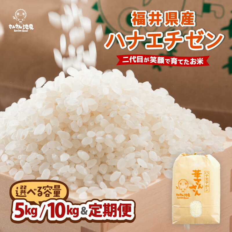 【令和7年産・新米】福井県産 ハナエチゼン 5kg / 10kg 【選べる内容量・精米方法・配送回数】 〜坂井市三国町産・こだわりの精米対応〜 【 米 お米 定期便 6ヶ月 12ヶ月 無洗米 玄米 白米 5キロ 10キロ ふるさと納税米 産地直送】
