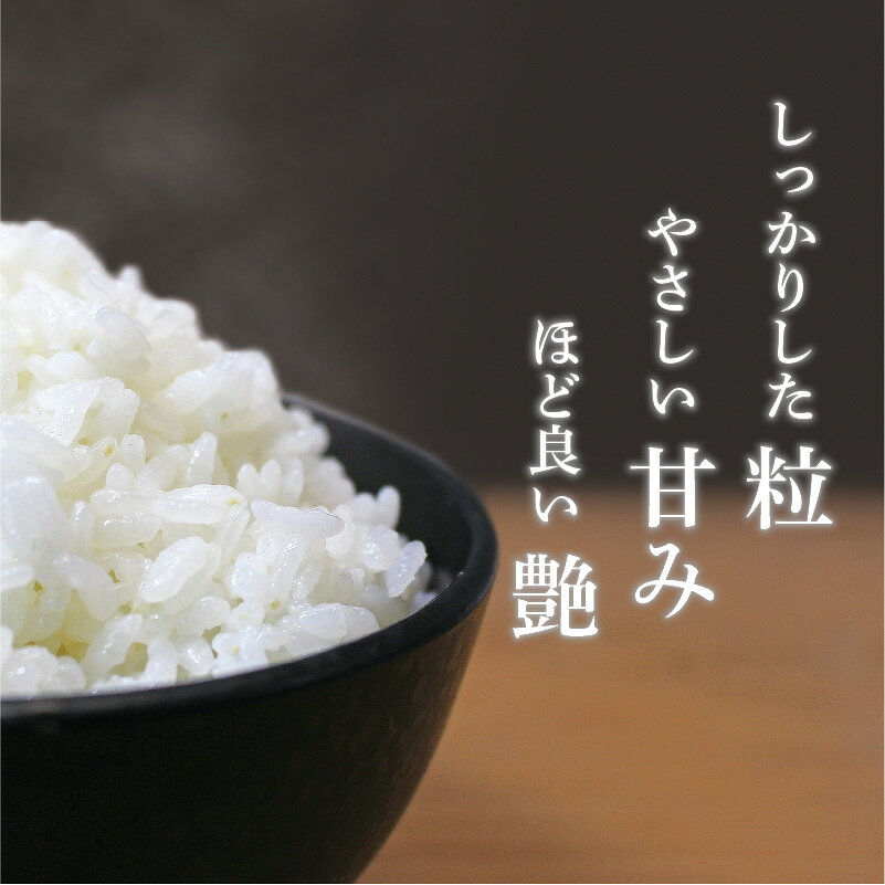 【ふるさと納税】【令和7年産】 米 5kg さんさん池見二代目がお届けする 福井県産 いちほまれ 米 お米 5キロ - 画像3