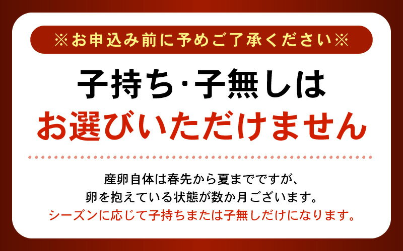 【ふるさと納税】 甘えび (中サイズ) 約550g〜2.75kg 1箱：約40尾前後 天然・鮮度抜群！【選べる内容量】 【抗菌紙箱・発泡箱】 定期便 海鮮 新鮮 海老 えび エビ 冷凍 あまえび 甘海老 刺身 産地直送 魚介 お試し 国産 大容量 - 画像3