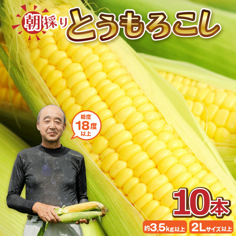 【先行予約】 とうもろこし 10本 (1本：2Lサイズ以上 370g～450g) 『メロンより甘い』もろこしやの朝取れとうもろこし ～驚きの糖度18度以上！～ (わくわくコーン) 【2026年6月上旬以降順次発送】