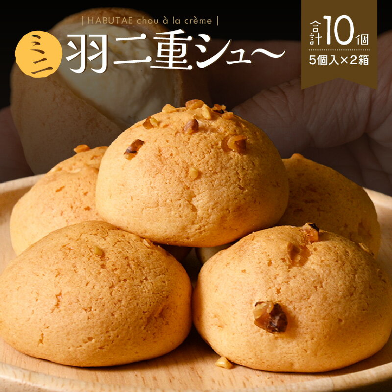 【ふるさと納税】福井の銘菓を洋菓子で味わう 「ミニ羽二重シュー」 5個入り × 2箱セット【米粉 シュークリーム ギフト お歳暮 敬老の日 お中元 夏ギフト】送料無料 - 画像2