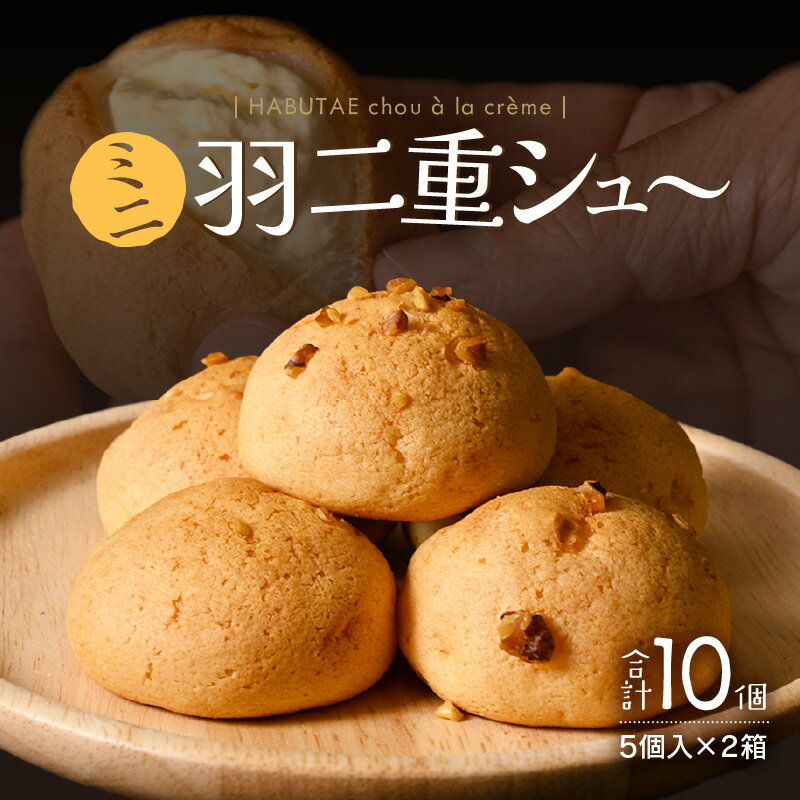 福井の銘菓を洋菓子で味わう 「ミニ羽二重シュー」 5個入り × 2箱セット【米粉 シュークリーム ギフト お歳暮 敬老の日 お中元 夏ギフト】送料無料