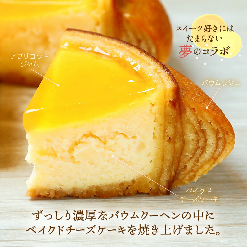【ふるさと納税】 ムッシュフロマージュ 240g 1個/2個 【選べる内容量】 (約4.5号：直径13cm) 〜ベイクドチーズケーキが中に入った奇跡の冷製バウム〜 【スイーツ お菓子 洋菓子 お土産 ギフト おもたせ 手土産 バウムクーヘン ギフト 贈り物】 サムネイル3