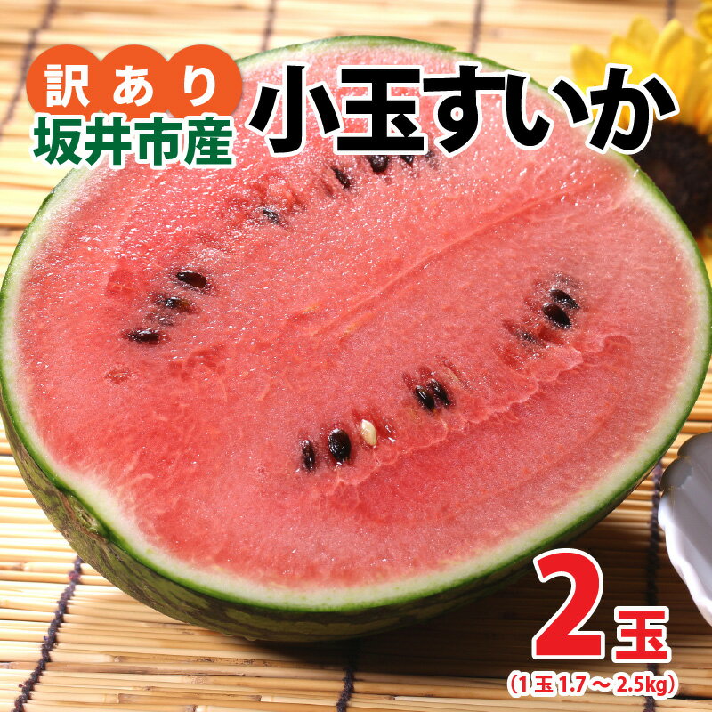 【ふるさと納税】【先行予約】 訳あり 不揃い 小玉すいか 2玉 坂井市産【2026年7月以降順次発送予定】 スイカ 西瓜 フルーツ 果物 夏果物 わけあり 国産 - 画像2