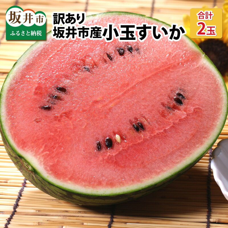 【先行予約】 訳あり 不揃い 小玉すいか 2玉 坂井市産【2026年7月以降順次発送予定】 スイカ 西瓜 フルーツ 果物 夏果物 わけあり 国産