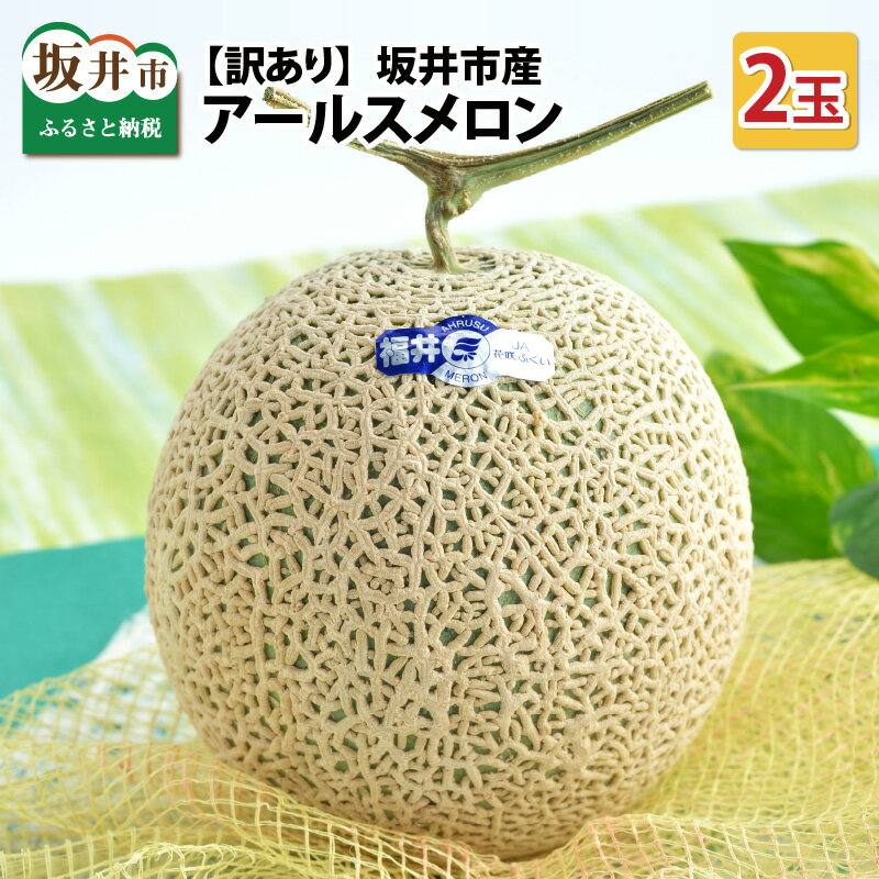 【先行予約】【訳あり】坂井市産 アールスメロン 2玉 【2026年9月上旬以降順次発送予定】