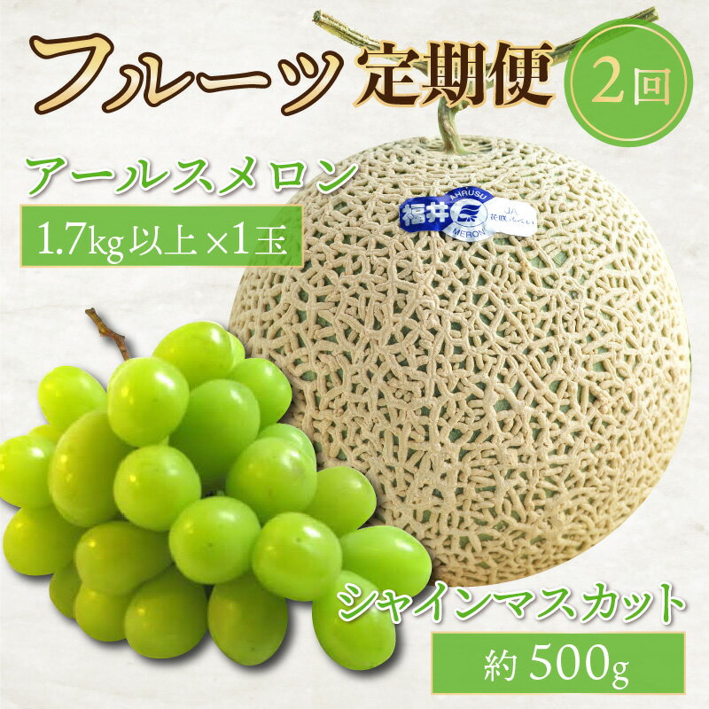 【ふるさと納税】【先行予約】フルーツ定期便2回【アールスメロン1玉 1.7kg以上＆シャインマスカット1房】実りの季節に美味しい果物♪【2026年8月中旬以降順次発送予定】【フルーツ 果物 くだもの デザート 青肉 葡萄 ぶそう ブドウ 旬の味覚 産地直送】 - 画像2