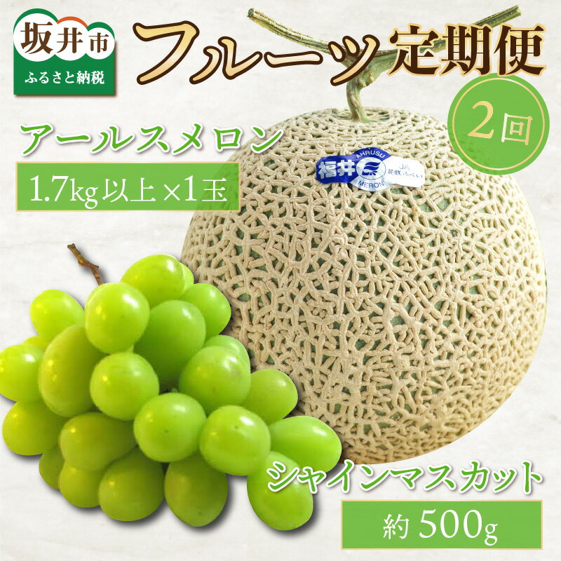 【先行予約】フルーツ定期便2回【アールスメロン1玉 1.7kg以上＆シャインマスカット1房】実りの季節に美味しい果物♪【2026年8月中旬以降順次発送予定】【フルーツ 果物 くだもの デザート 青肉 葡萄 ぶそう ブドウ 旬の味覚 産地直送】