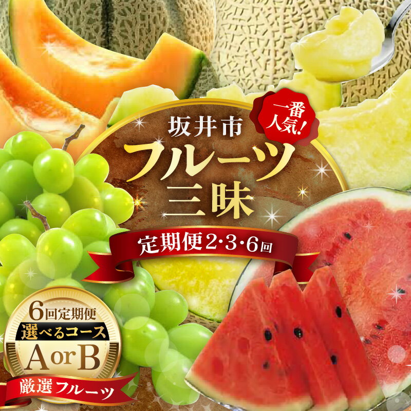 【先行予約】 坂井市フルーツ三昧 ！！定期便 2・3・6回【2026年6月上旬以降順次発送開始予定】 フルーツ定期便 果物 くだもの フルーツ デザート シャインマスカット メロン スイカ 食べ比べ 梨 10万円 新鮮 おすすめ お試し 旬のフルーツ定期便