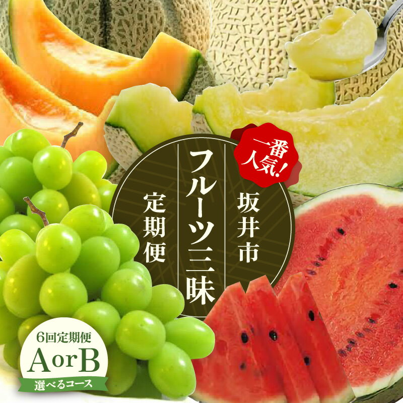【先行予約】【定期便 6回コース】 坂井市フルーツ三昧 ！！定期便【2026年6月上旬以降順次発送開始予定】【 フルーツ定期便 シャインマスカット メロン スイカ 食べ比べ 】