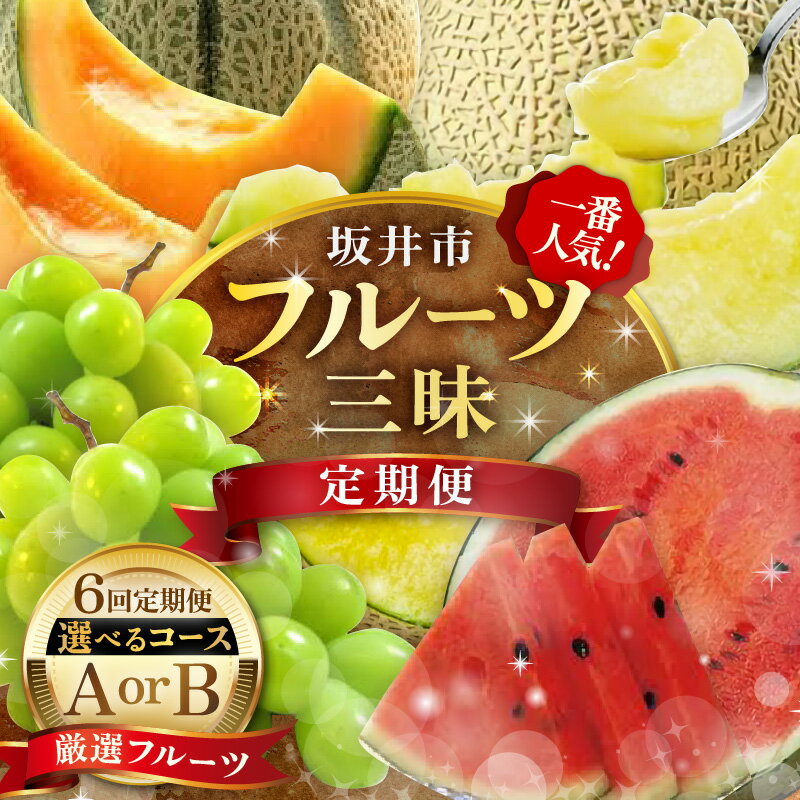 【ふるさと納税】【先行予約】【定期便 6回コース】 坂井市フルーツ三昧 ！！定期便【2026年6月上旬以降順次発送開始予定】 フルーツ定期便 果物 くだもの フルーツ デザート シャインマスカット メロン スイカ 食べ比べ 梨 10万円 新鮮 おすすめ 旬のフルーツ定期便