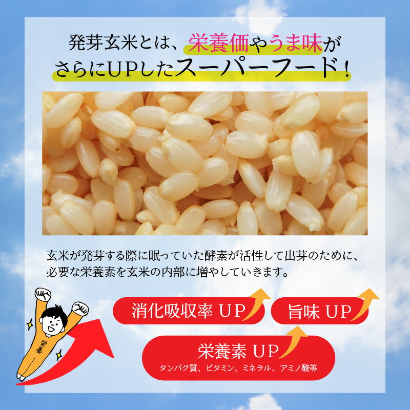 【ふるさと納税】【令和7年産】【発芽玄米】 コシヒカリ「特選」 特別栽培米使用 1袋 / 2袋 / 3袋 / 5袋 (3kg〜15kg) 【選べる個数】【無洗米 米 お米 こしひかり 白米 玄米 ギャバ GABA 特別栽培 食物繊維 栄養 ごはん ご飯 おいしい ふるさと納税米】 サムネイル3