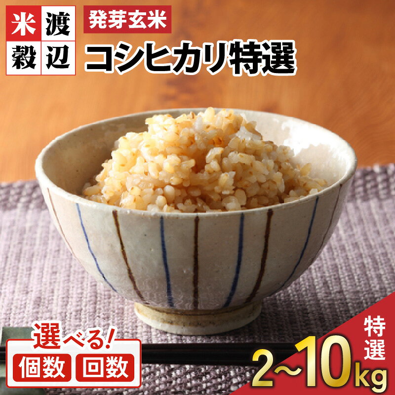＜寄附額見直しました！＞【令和7年産】【発芽玄米】 コシヒカリ「特選」 特別栽培米使用 1袋 / 2袋 / 3袋 / 5袋 (2kg〜10kg) 【選べる個数 / 発送回数】 2ヶ月 3ヶ月 定期便 無洗米 米 こしひかり 玄米 ギャバ GABA 食物繊維 栄養 真空パック ごはん ご飯
