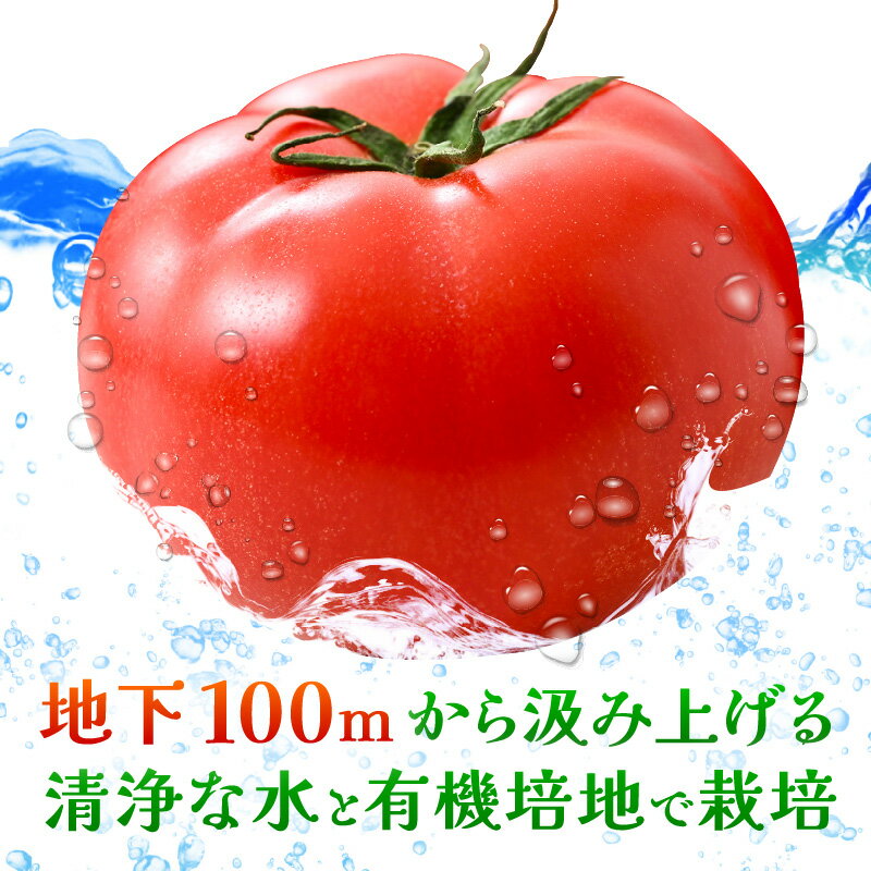 【ふるさと納税】 新鮮トマト 1ケース 約4kg (16～24玉入) ～三つ星クオリティ☆坂井の大自然が育てた、もぎたて新鮮トマト～【とまと トマト 野菜 生野菜 新鮮 リコピン ビタミン ダイエット 美容 美肌 産地直送 国産】 サムネイル3