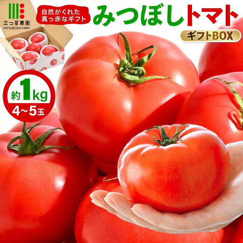 【先行予約】みつぼしトマト☆自然がくれた真っ赤なギフト 約1kg 【2026年5月上旬以降順次発送予定】【とまと トマト 野菜 生野菜 新鮮 産地直送 贈答 ギフト 国産】