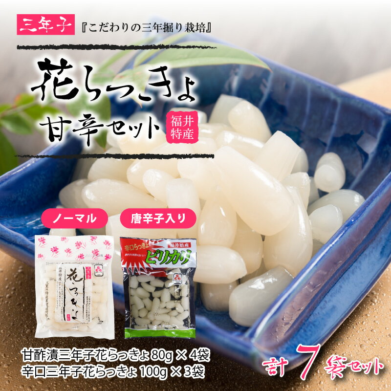 【ふるさと納税】『こだわりの三年掘り栽培』 福井特産 三年子花らっきょ甘辛セット【らっきょう】 - 画像2