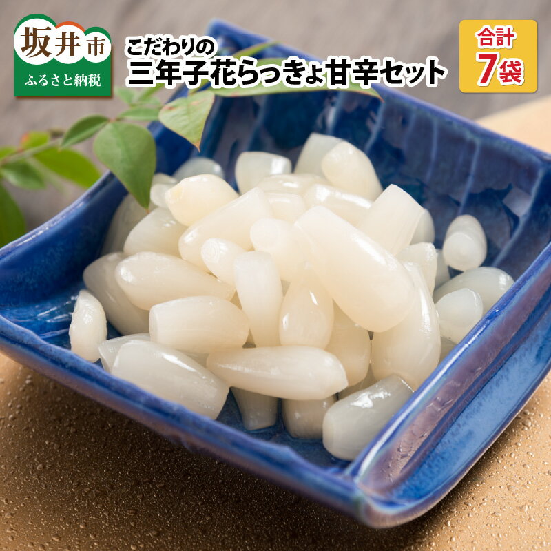 『こだわりの三年掘り栽培』 福井特産 三年子花らっきょ甘辛セット【らっきょう】