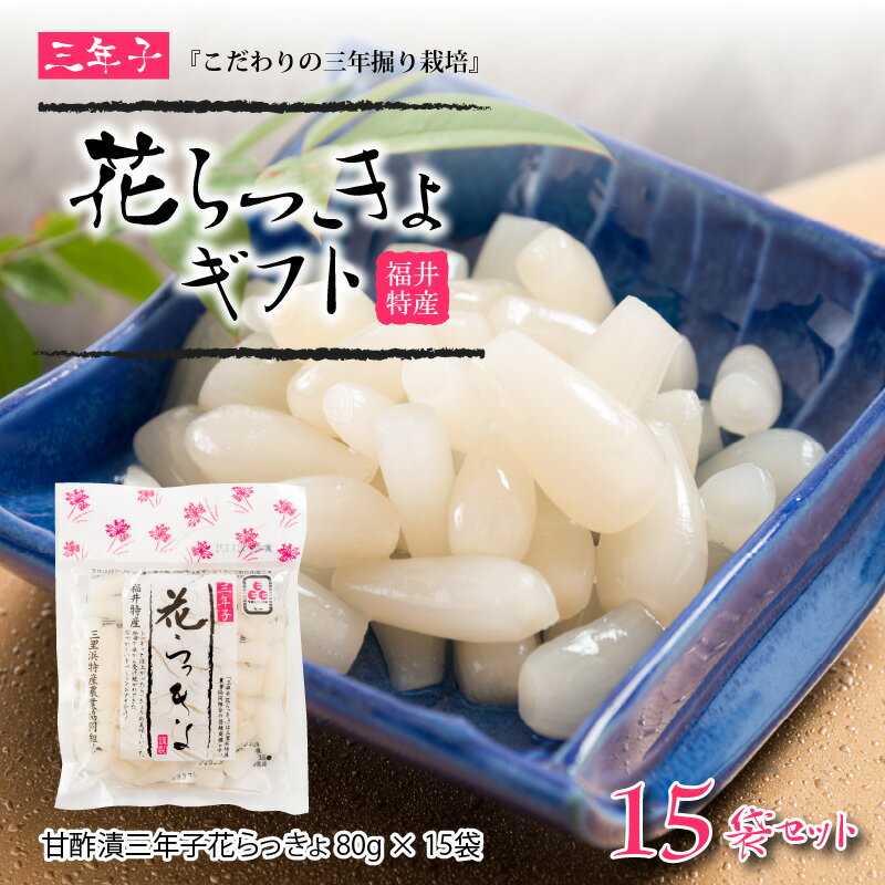 【ふるさと納税】『こだわりの三年掘り栽培』 福井特産 三年子花らっきょギフト【らっきょう】 【甘酢 漬け 国産 漬け物 お漬物 ラッキョウ】 - 画像2