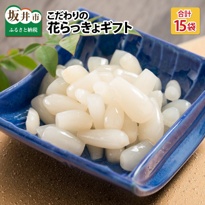 『こだわりの三年掘り栽培』 福井特産 三年子花らっきょギフト【らっきょう】 【甘酢 漬け 国産 漬け物 お漬物 ラッキョウ】