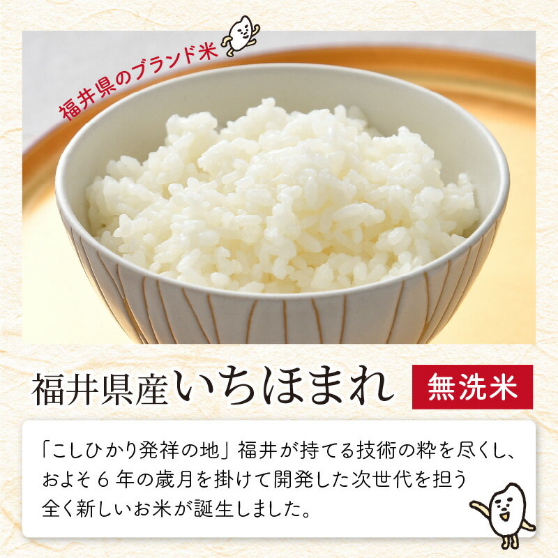 【ふるさと納税】【令和7年産】定期便 ≪3ヶ月連続お届け≫ 福井県のブランド米 いちほまれ 無洗米 2kg × 3回　計6kg 【 人気 品種 ブランド米 特A 】 - 画像3