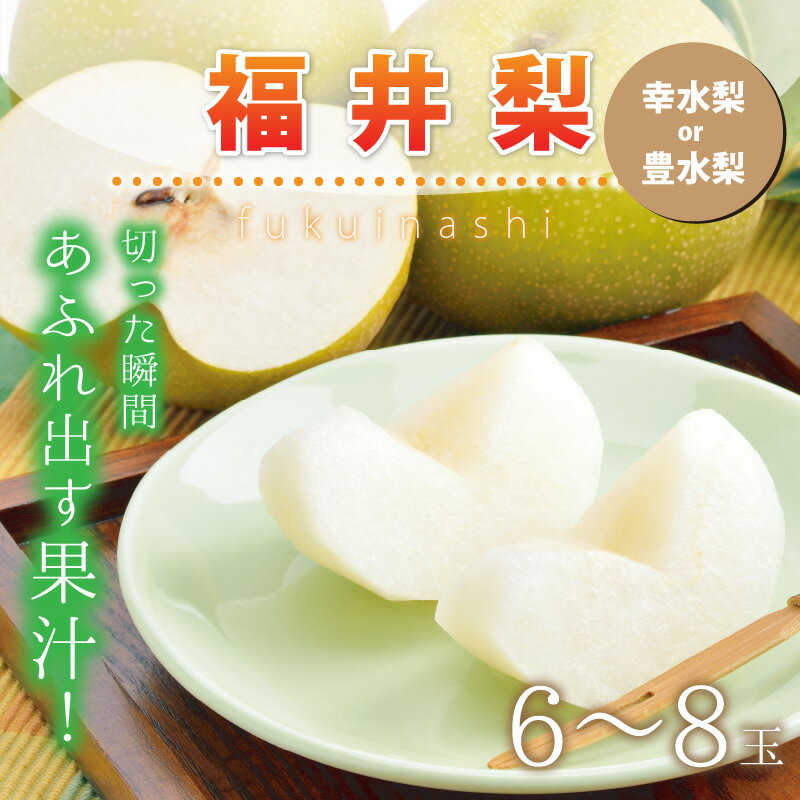 【ふるさと納税】【先行予約】「福井梨」6〜8玉 シャキっとした食感♪ あふれ出す果汁！ (幸水梨 / 豊水梨)【2026年8月下旬～9月下旬発送予定】【梨 なし 和梨 先行予約 ナシ フルーツ 甘い みずみずしい 果実 果物 新鮮 お土産 贈り物 旬の果物】 サムネイル2