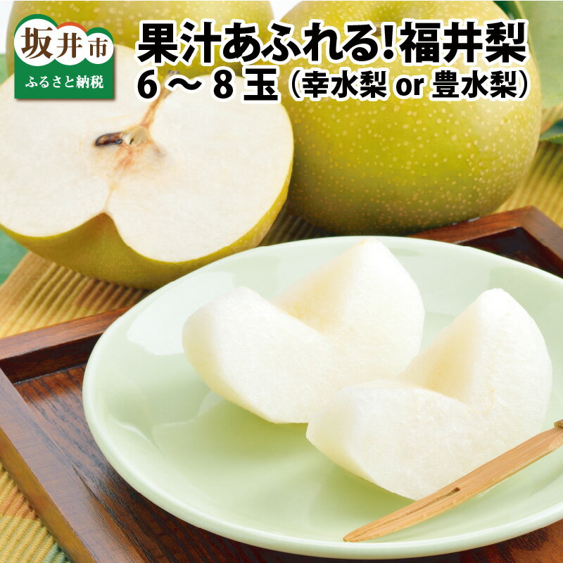 【先行予約】「福井梨」6〜8玉 シャキっとした食感♪ あふれ出す果汁！ (幸水梨 / 豊水梨)【2026年8月下旬～9月下旬発送予定】【梨 なし 和梨 先行予約 ナシ フルーツ 甘い みずみずしい 果実 果物 新鮮 お土産 贈り物 旬の果物】