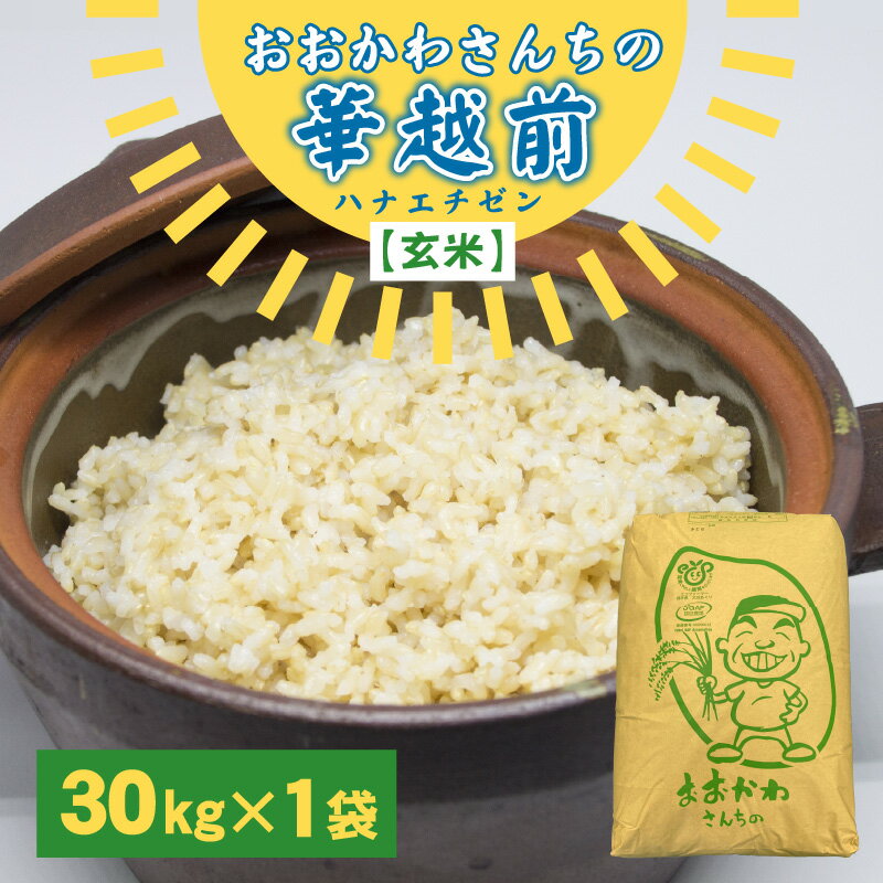 【ふるさと納税】【令和7年産】 おおかわさんちの華越前 玄米 30kg 【お米 こめ ハナエチゼン 30キロ ご飯 ごはん 美味しい ふるさと納税米】 - 画像2