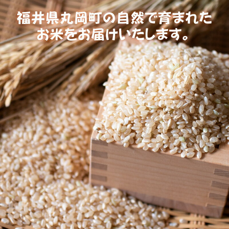 【ふるさと納税】【令和7年産】 おおかわさんちの華越前 玄米 30kg 【お米 こめ ハナエチゼン 30キロ ご飯 ごはん 美味しい ふるさと納税米】 - 画像3