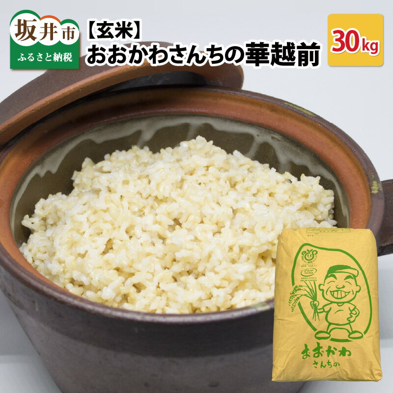 【令和7年産】 おおかわさんちの華越前 玄米 30kg 【お米 こめ ハナエチゼン 30キロ ご飯 ごはん 美味しい ふるさと納税米】