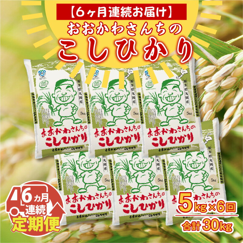 【ふるさと納税】【令和7年産】 【6ヶ月連続お届け定期便】おおかわさんちのコシヒカリ 5kg × 6回 計30kg 【コシヒカリ 米 おこめ 精米 5キロ ブランド米 国産】 - 画像2