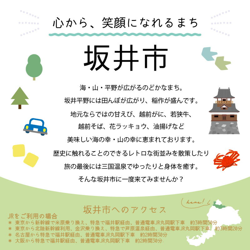 【ふるさと納税】 福井県坂井市の対象施設で使える楽天トラベルクーポン 寄附額20,000円 宿泊券 旅行券 旅行クーポン 宿泊 旅行 ホテル 旅館 利用券 チケット クーポン 観光 予約 東尋坊 サムネイル3