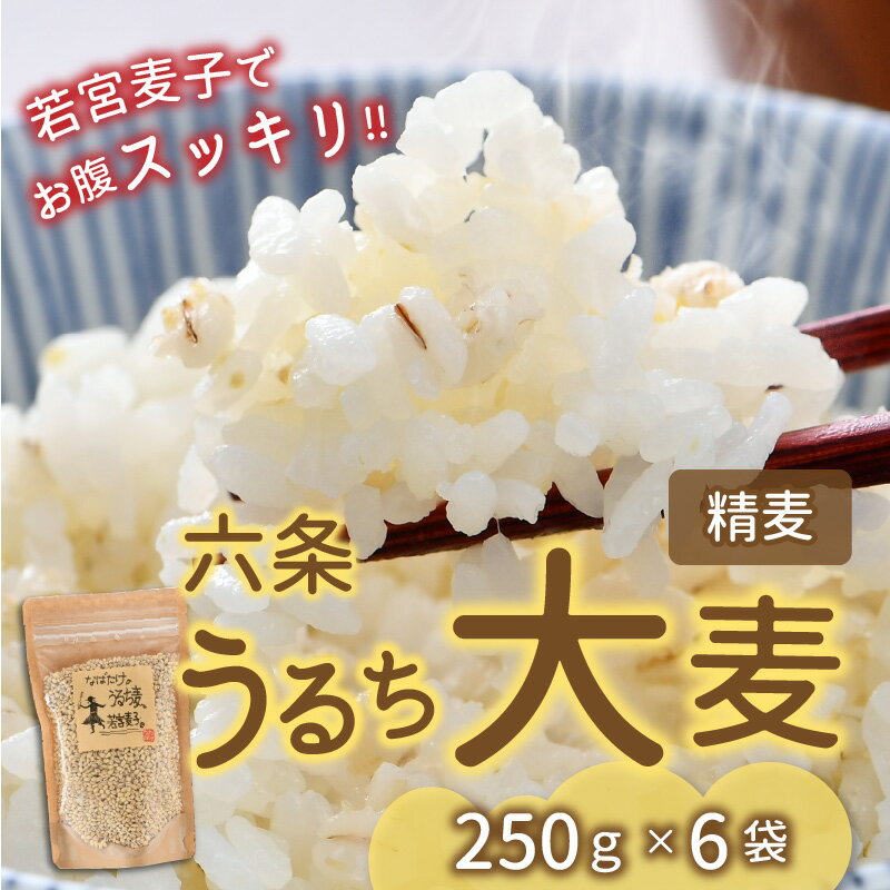 【ふるさと納税】 【先行予約】 六条うるち大麦 250g × 6袋 (合計1.5kg) 【2026年6月中旬以降順次発送予定】 プチプチ食感がやみつきに！ 若宮麦子でお腹スッキリ【国産大麦 うるち麦 健康 腸活 雑穀 穀物 麦ごはん 食物繊維 小分け パック】 - 画像2