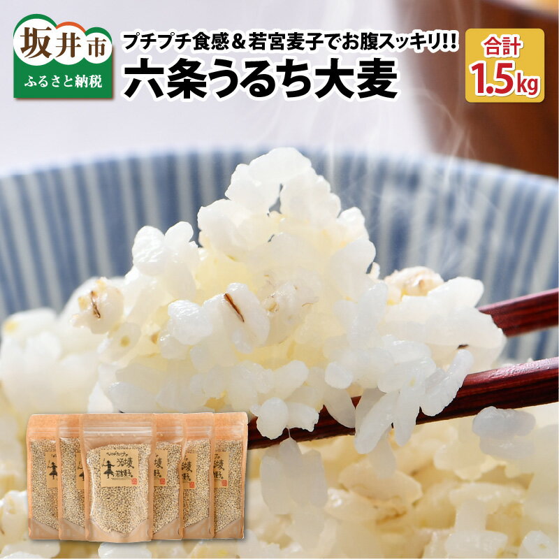 【先行予約】 六条うるち大麦 250g × 6袋 (合計1.5kg) 【2026年6月中旬以降順次発送予定】 プチプチ食感がやみつきに！ 若宮麦子でお腹スッキリ【国産大麦 うるち麦 健康 腸活 雑穀 穀物 麦ごはん 食物繊維 小分け パック】