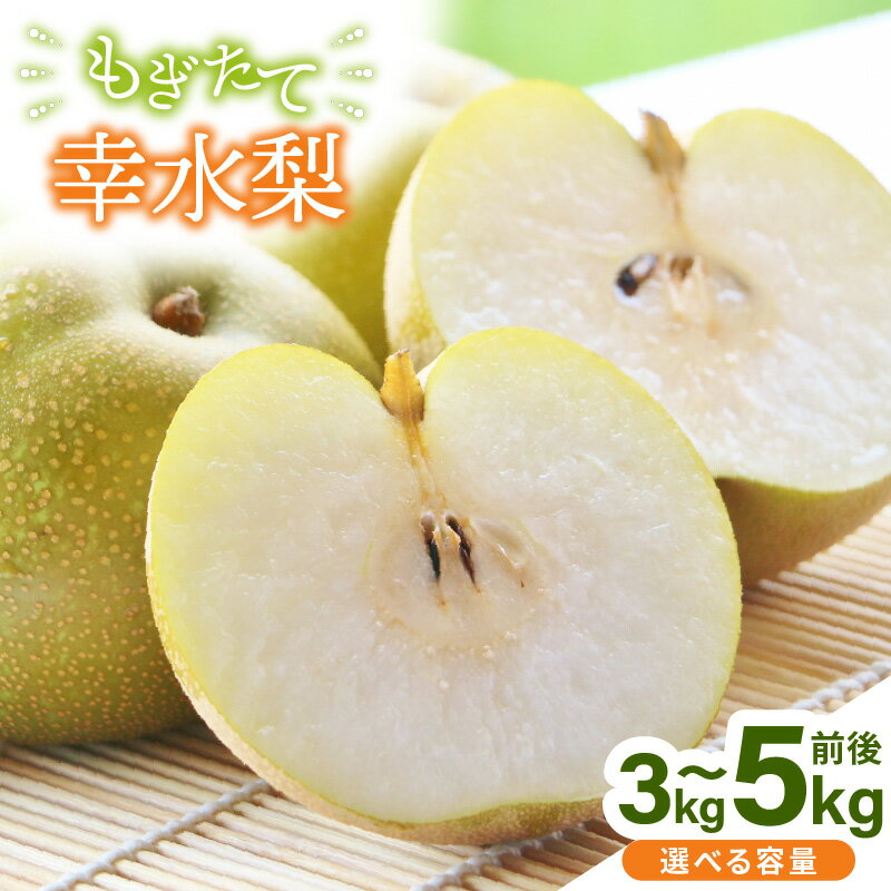 【ふるさと納税】 【先行予約】幸水梨 3kg前後 (5〜8個) / 5kg前後 (8〜14個) たっぷりの果汁を含んだジューシーな梨！【選べる内容量】【2026年8月中旬以降順次発送予定】【梨 なし フルーツ 甘い みずみずしい 果実 果物 新鮮 お土産 贈り物 旬の果物】 サムネイル2