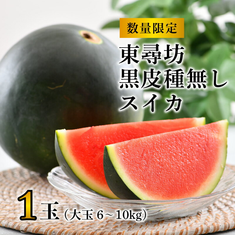 【ふるさと納税】【先行予約】 種なし スイカ 6～10kg × 1玉 大玉サイズ ～シャリシャリ甘い東尋坊黒皮種なしスイカ～ 【2026年7月中旬以降順次発送予定】 【スイカ 西瓜 フルーツ 果物 国産 産地直送 内祝い お祝い お中元 夏ギフト】 サムネイル2