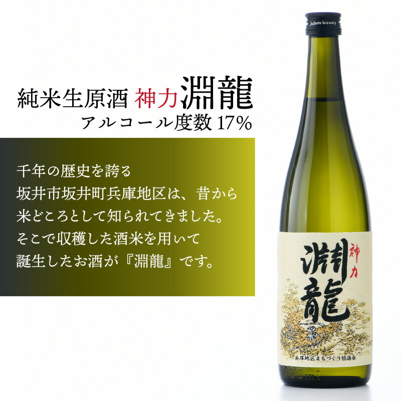 【ふるさと納税】【自慢の逸品！】純米酒『淵龍』 720ml × 2本 飲み比べセット 【純米酒 純米生原酒 飲み比べ セット 詰合せ 地酒 日本酒 辛口 お酒 酒 アルコール 食前酒 米どころ 冷蔵保存 ギフト 贈り物 贈答 父の日】 サムネイル3