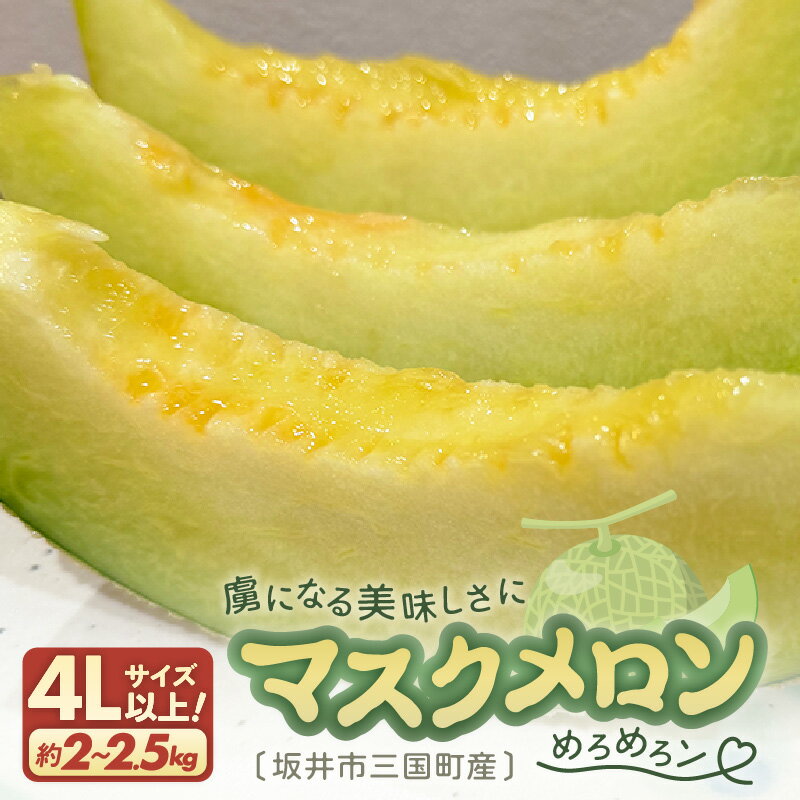 【先行予約】 マスクメロン 4Lサイズ以上 1玉 （約2〜2.5kg） 虜になる美味しさにめろめろン 【2026年10月下旬以降順次発送予定】【メロン めろん フルーツ デザート 果物 くだもの 果実 青肉 糖度 甘い ジューシー お取り寄せ グルメ 産地直送】