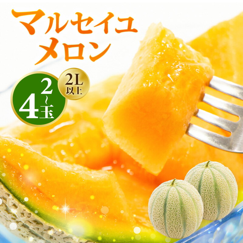 【ふるさと納税】 【先行予約】マルセイユメロン 2Lサイズ以上 × 2玉 / 4玉 (1玉あたり：約1.05～1.5kg) 【2026年6月上旬より順次発送】 福井県三里浜産 糖度15度 【メロン めろん フルーツ 旬 デザート 果物 果実 赤肉 糖度 甘い ジューシー お取り寄せ グルメ 産地直送】 - 画像2