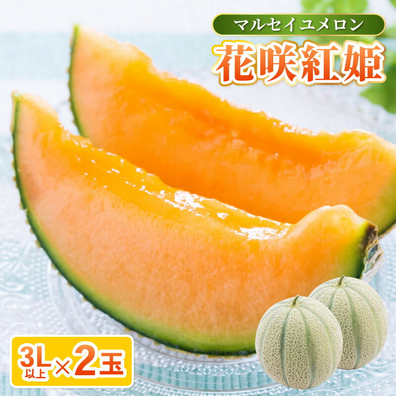 【先行予約】坂井市砂丘地のマルセイユメロン 花咲紅姫 3L以上 2個入り 化粧箱入り 【2026年6月中旬以降順次発送予定】 【メロン めろん フルーツ デザート 果物 くだもの 果実 赤肉 糖度 甘い ジューシー お取り寄せ グルメ 産地直送 贈答 ギフト 贈り物】