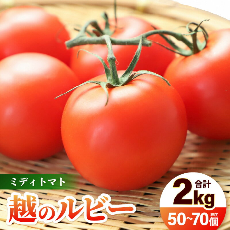 【先行予約】 三里浜砂丘地産 越のルビー（ミディトマト）甘くておいしい中玉トマト 約2kg 【2026年6月上旬以降順次発送予定】 【トマト とまと 中玉とまと リコピン 豊富 野菜 生野菜 甘い 高糖度 産地直送 国産】