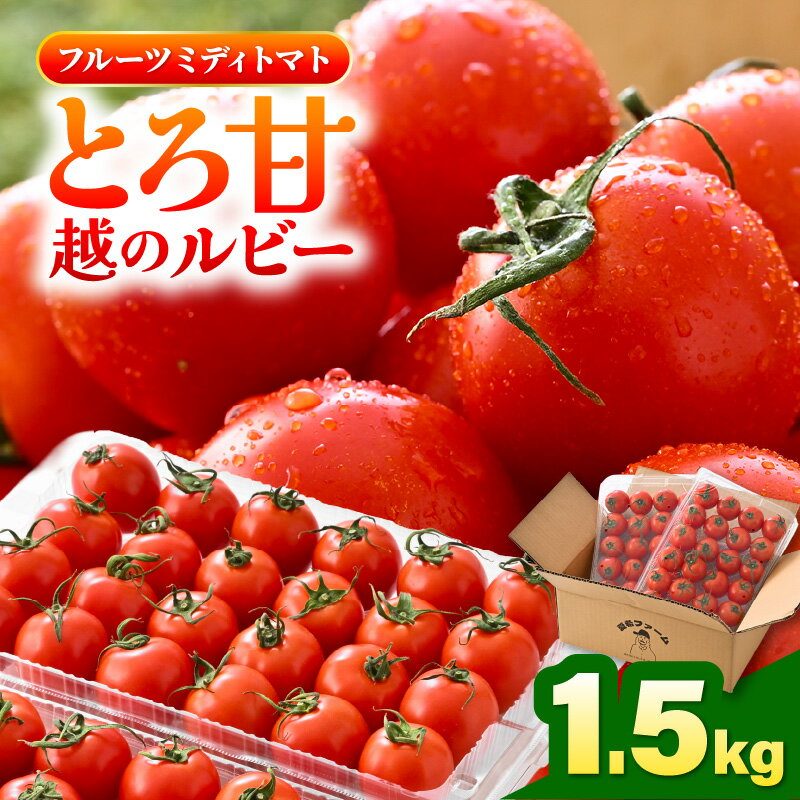 【ふるさと納税】 【先行予約】 とろ甘 越のルビー 1.5kg 高糖度ミディトマト 【2026年6月下旬以降順次発送予定】 【とまと トマト ミディトマト ブランド品種 野菜 生野菜 美容 健康 新鮮 産地直送 国産】 - 画像2